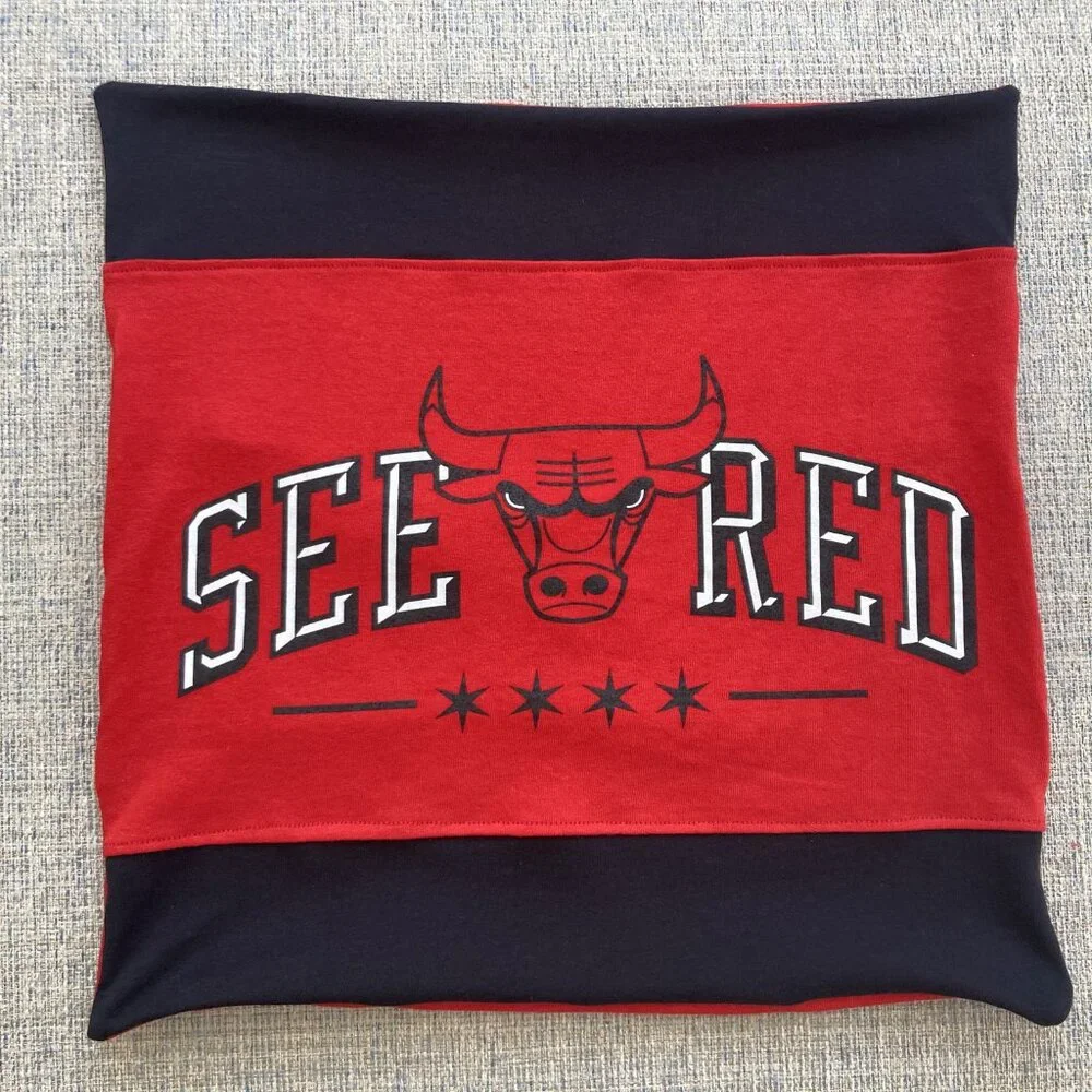 Chicago Bulls Basketball HANDMADE upcycle 16X16 retro T-shirt THROW PILLOW cover